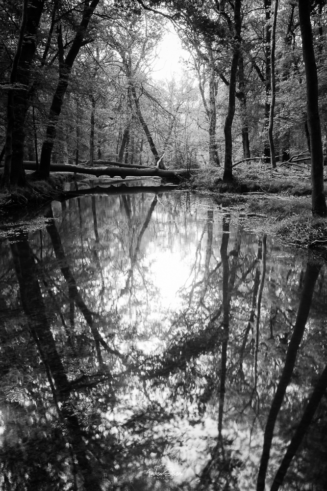 Blackwater